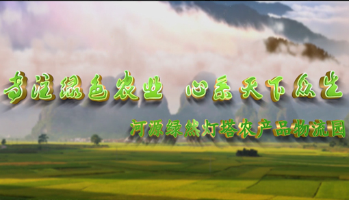 廣東省河源綠然燈塔農產品物流園宣傳視頻