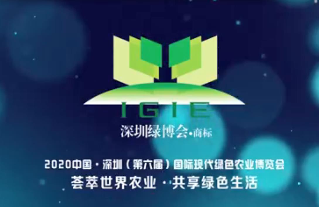 【震撼首播】2020第六屆深圳綠博會現場紀實片震撼首播！